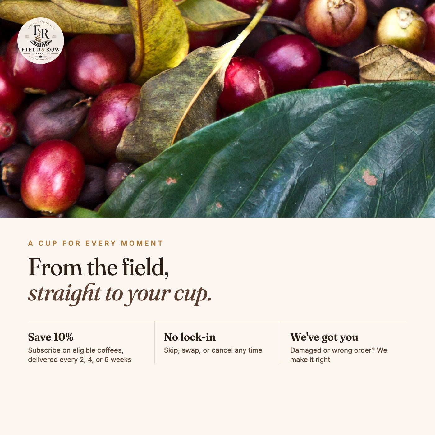 Single Origin Favorites Sample Pack detail